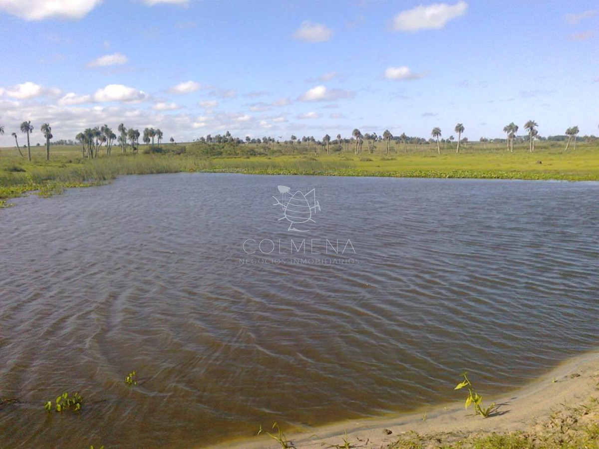 Campo en Paraje Aguas Dulces - GoPunta - Portal Inmobiliario de Punta del Este - Maldonado
