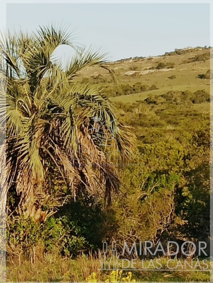 Chacras se financia 50    Mirador de las cañas   Consulte !!!!! - GoPunta - Portal Inmobiliario de Punta del Este - Maldonado