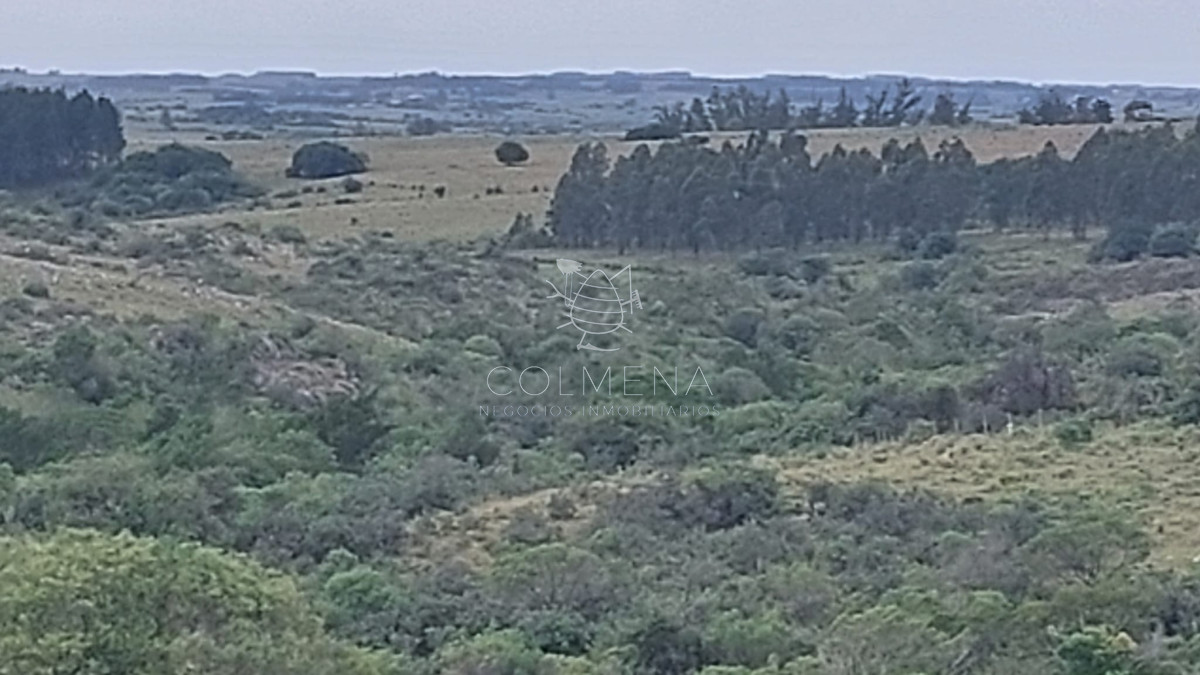 Campo de 19 hás en Las Cañas 