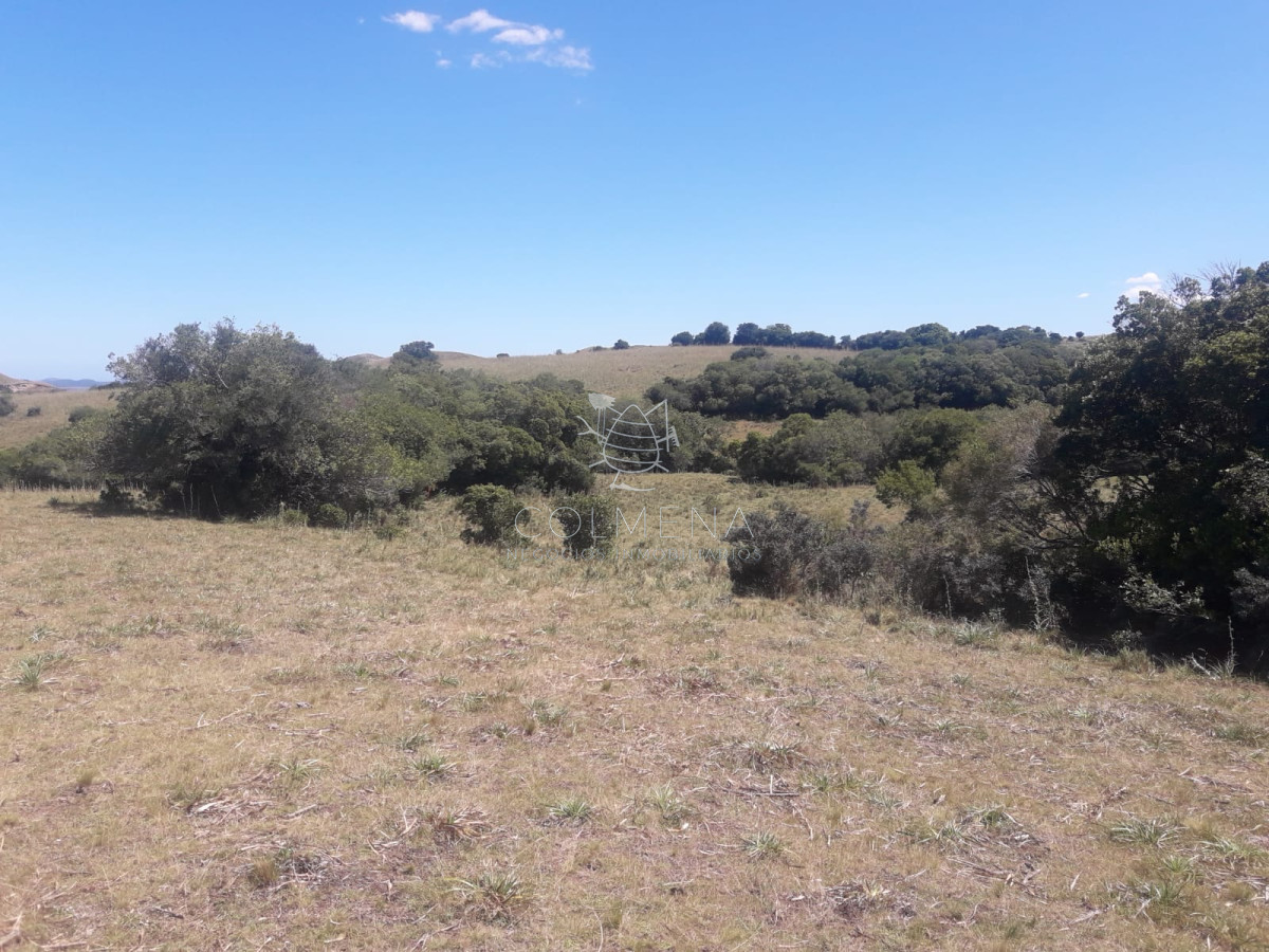 Campo por ruta 12 con muy buena casa - GoPunta - Portal Inmobiliario de Punta del Este - Maldonado