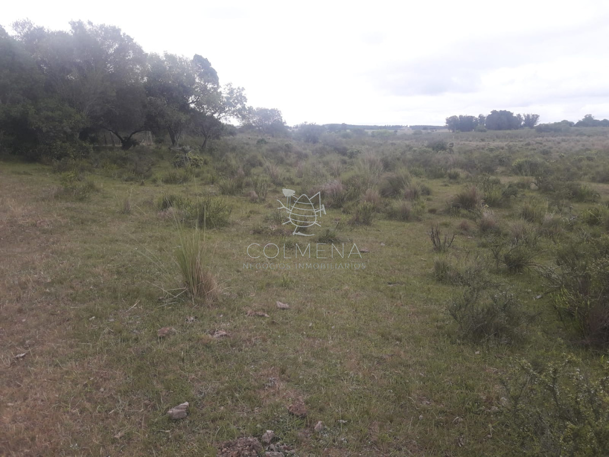 Campo en , - GoPunta - Portal Inmobiliario de Punta del Este - Maldonado