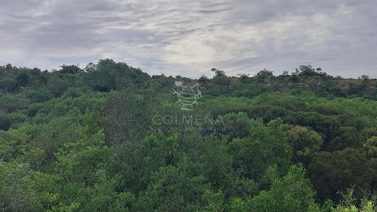 Campo de 19 hás en Las Cañas - GoPunta - Portal Inmobiliario de Punta del Este - Maldonado