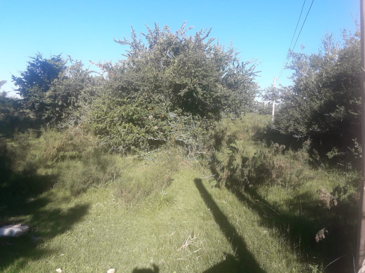 Campo cerca de Pueblo Eden   Consulte!!!!! - GoPunta - Portal Inmobiliario de Punta del Este - Maldonado