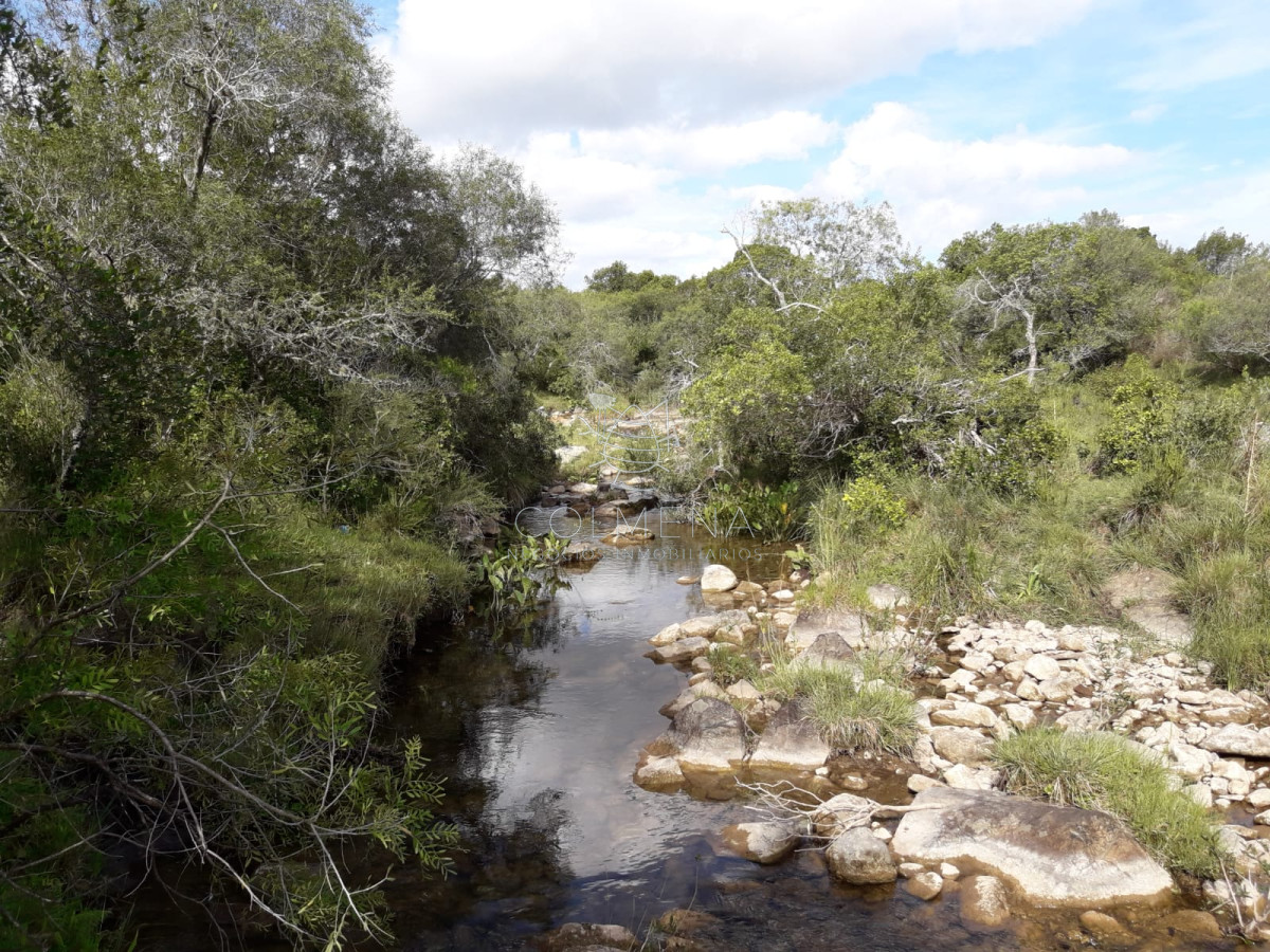 Campo cerca de Pueblo Eden   Consulte !!!!!!! - GoPunta - Portal Inmobiliario de Punta del Este - Maldonado