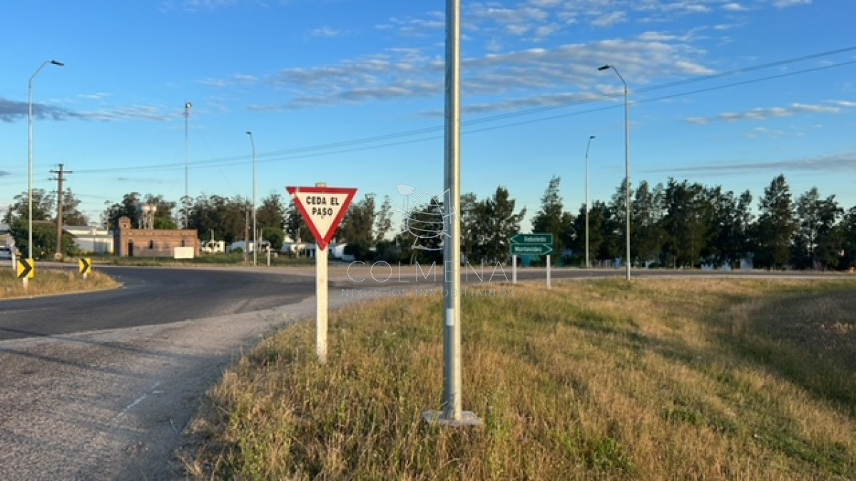 Campo en Florida - GoPunta - Portal Inmobiliario de Punta del Este - Maldonado