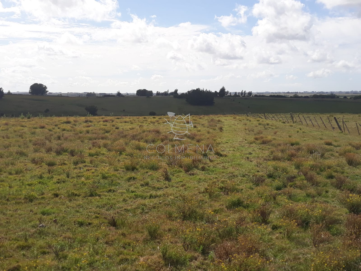 Campo 18 has en las Cañas   Consulte!!!!!! - GoPunta - Portal Inmobiliario de Punta del Este - Maldonado