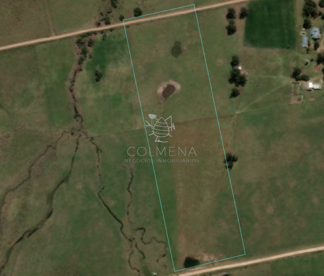 Campo de 5 has y media muy cerca de Pueblo Eden - GoPunta - Portal Inmobiliario de Punta del Este - Maldonado