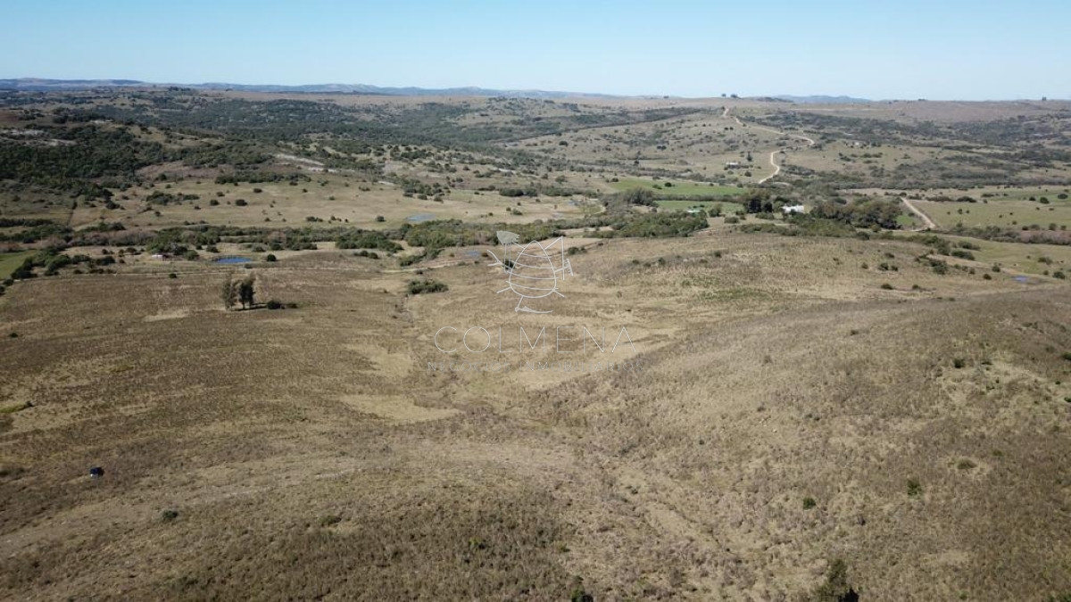 Campo 86 has 6937 m2 en la Cañas - GoPunta - Portal Inmobiliario de Punta del Este - Maldonado