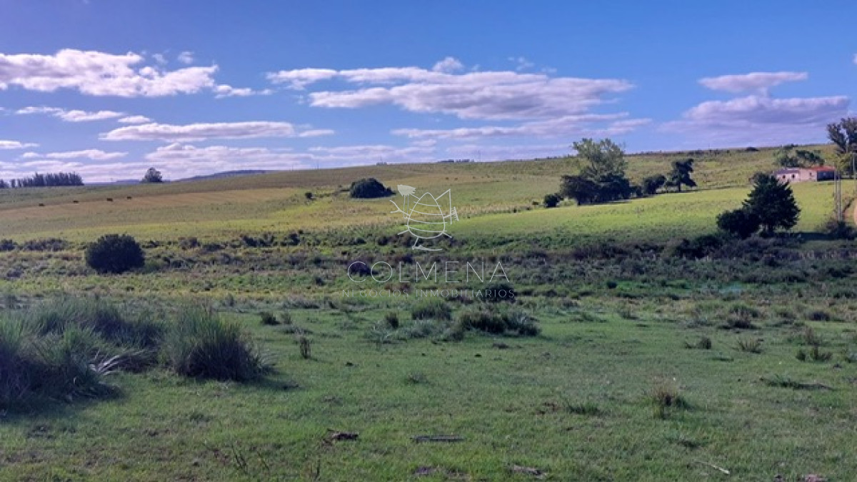 Campo en Carape - GoPunta - Portal Inmobiliario de Punta del Este - Maldonado