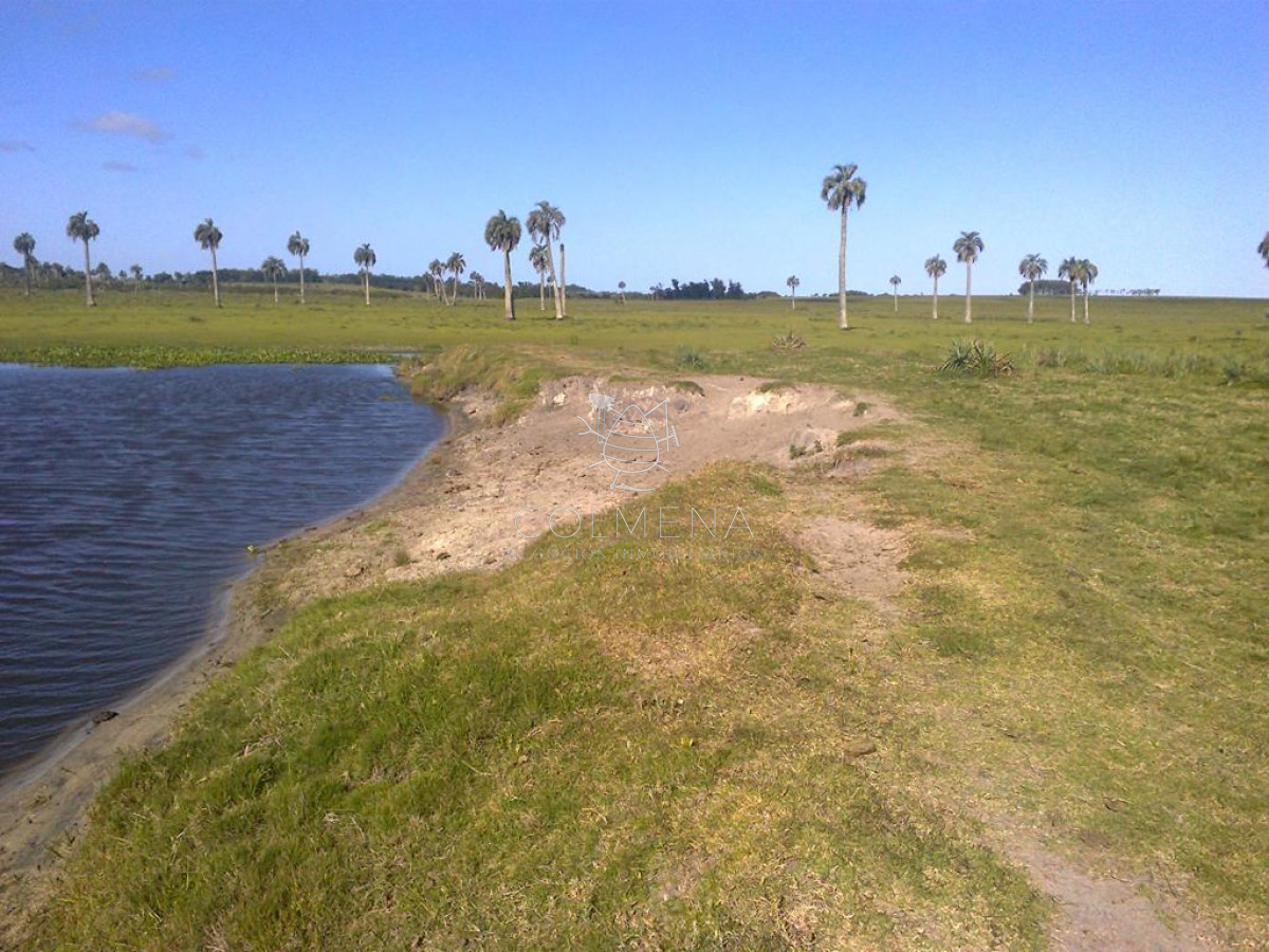 Campo en Paraje Aguas Dulces - GoPunta - Portal Inmobiliario de Punta del Este - Maldonado