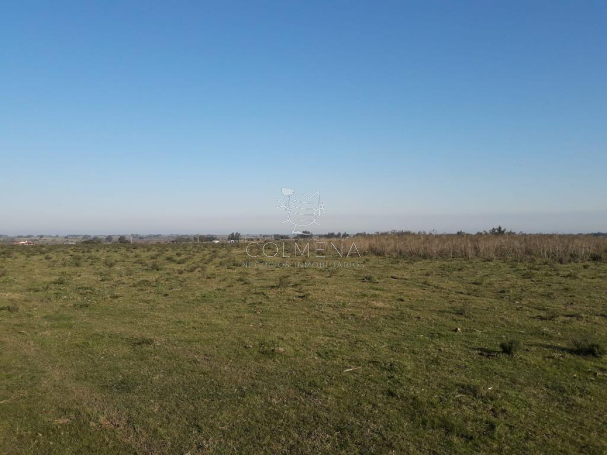Campo de 66 has con 1991 m2   En Corte la Leña   Consulte!!! - GoPunta - Portal Inmobiliario de Punta del Este - Maldonado