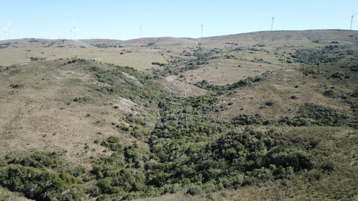 Campo 86 has 6937 m2 en la Cañas - GoPunta - Portal Inmobiliario de Punta del Este - Maldonado