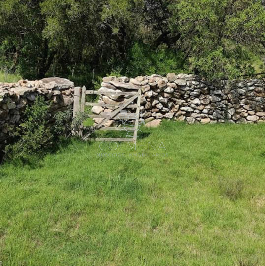Campo 77 has 4940 m2 cerca ruta 39