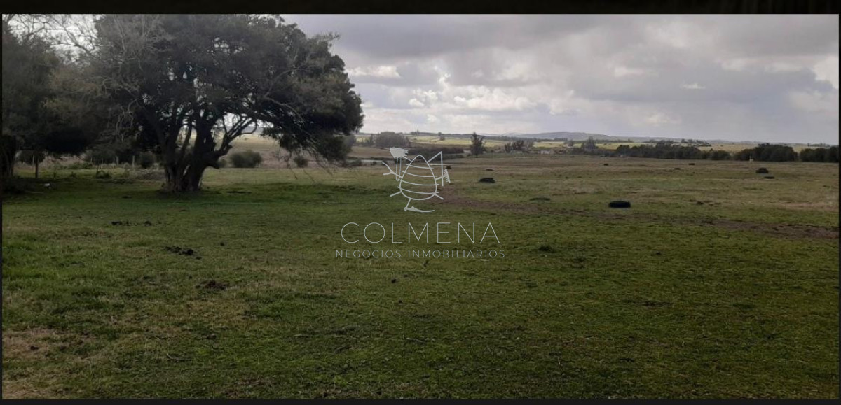 Campo 5 has con linda casa a 25 km de Punta del Este Consulte !!!!!!!