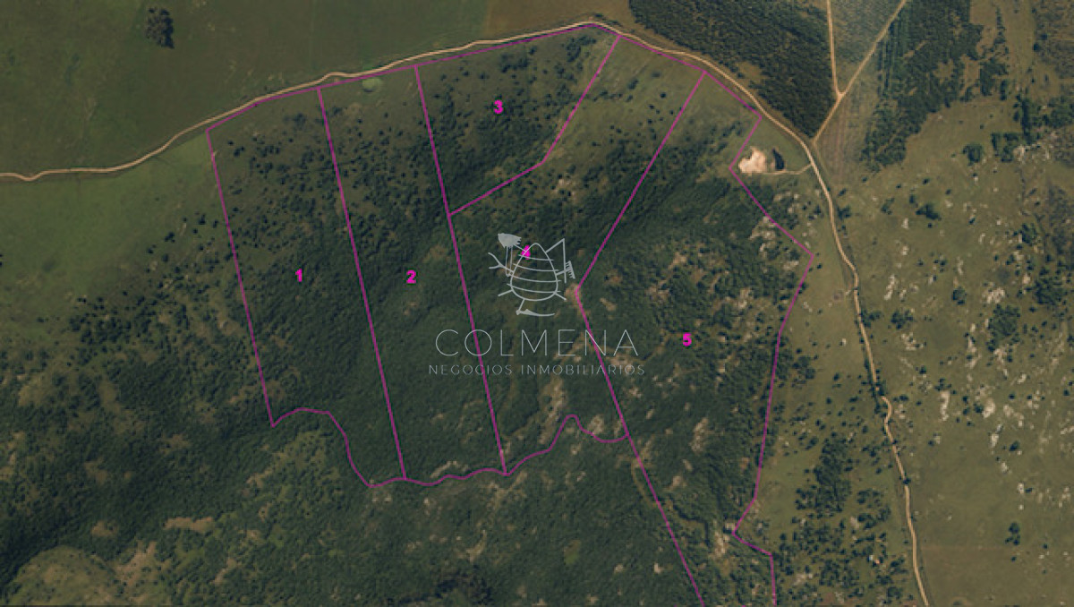 Campo 111 has en Lavalleja   Col 7120 - GoPunta - Portal Inmobiliario de Punta del Este - Maldonado