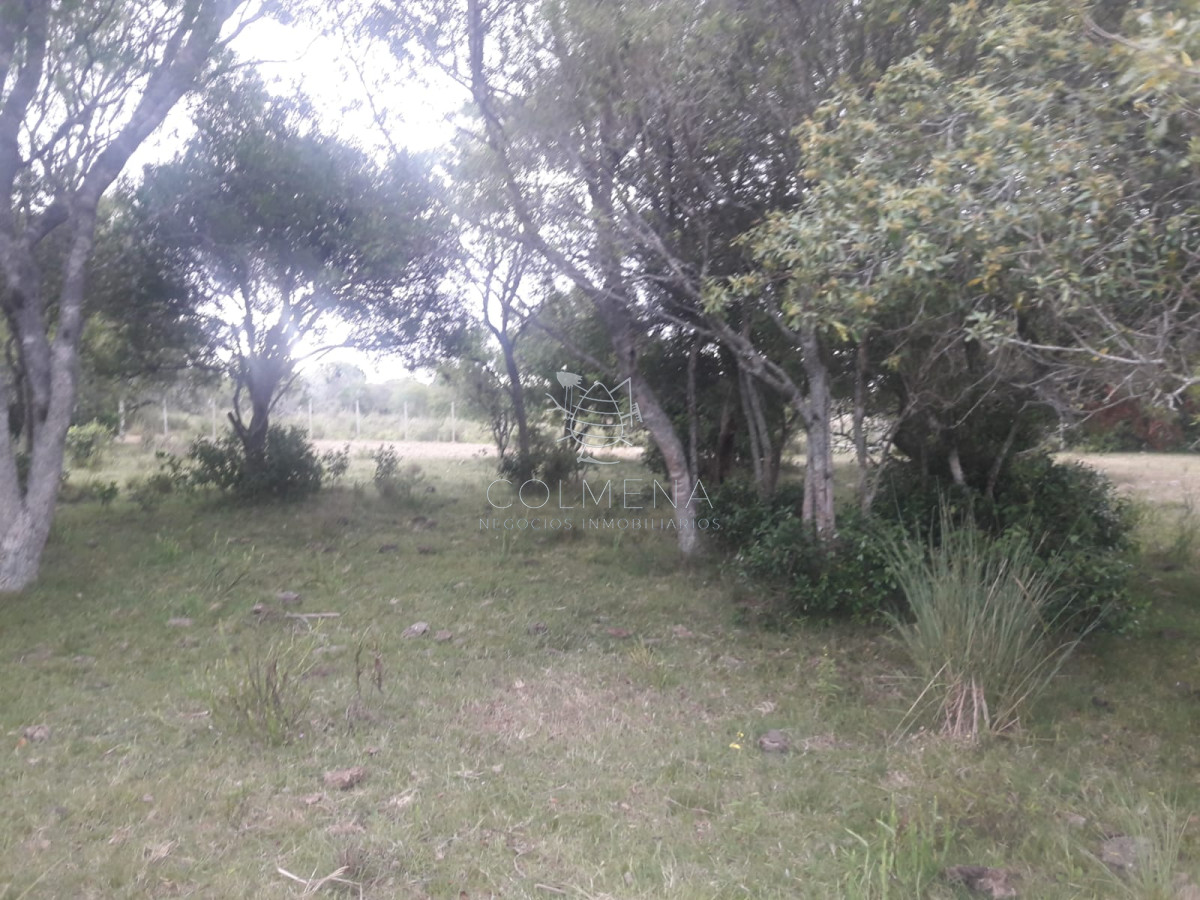 Campo en , - GoPunta - Portal Inmobiliario de Punta del Este - Maldonado