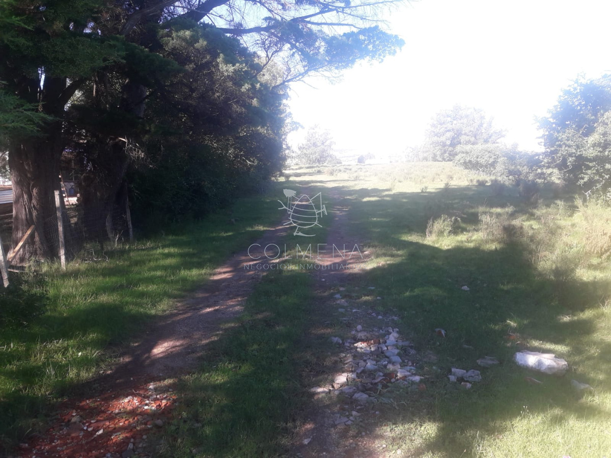 Campo cerca de Pueblo Eden - Consulte!!!!!