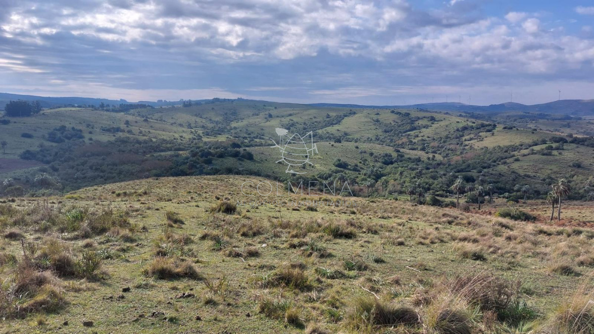 Campo cerca de Aigua