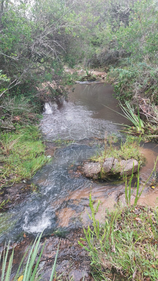 Campo de 19 hás en Las Cañas - GoPunta - Portal Inmobiliario de Punta del Este - Maldonado