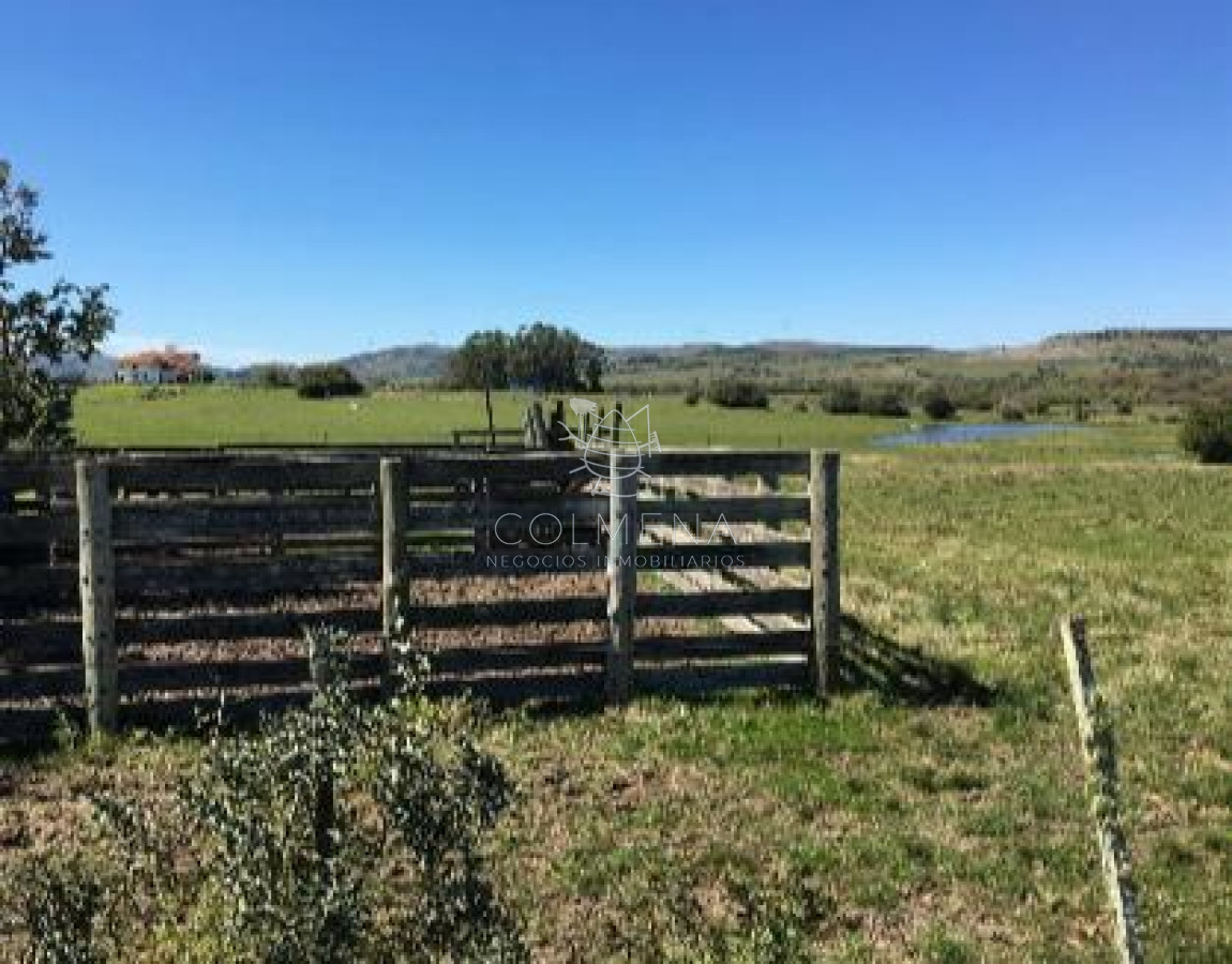 Campo 10 has cerca de Pueblo Edén   con casa importante. - GoPunta - Portal Inmobiliario de Punta del Este - Maldonado