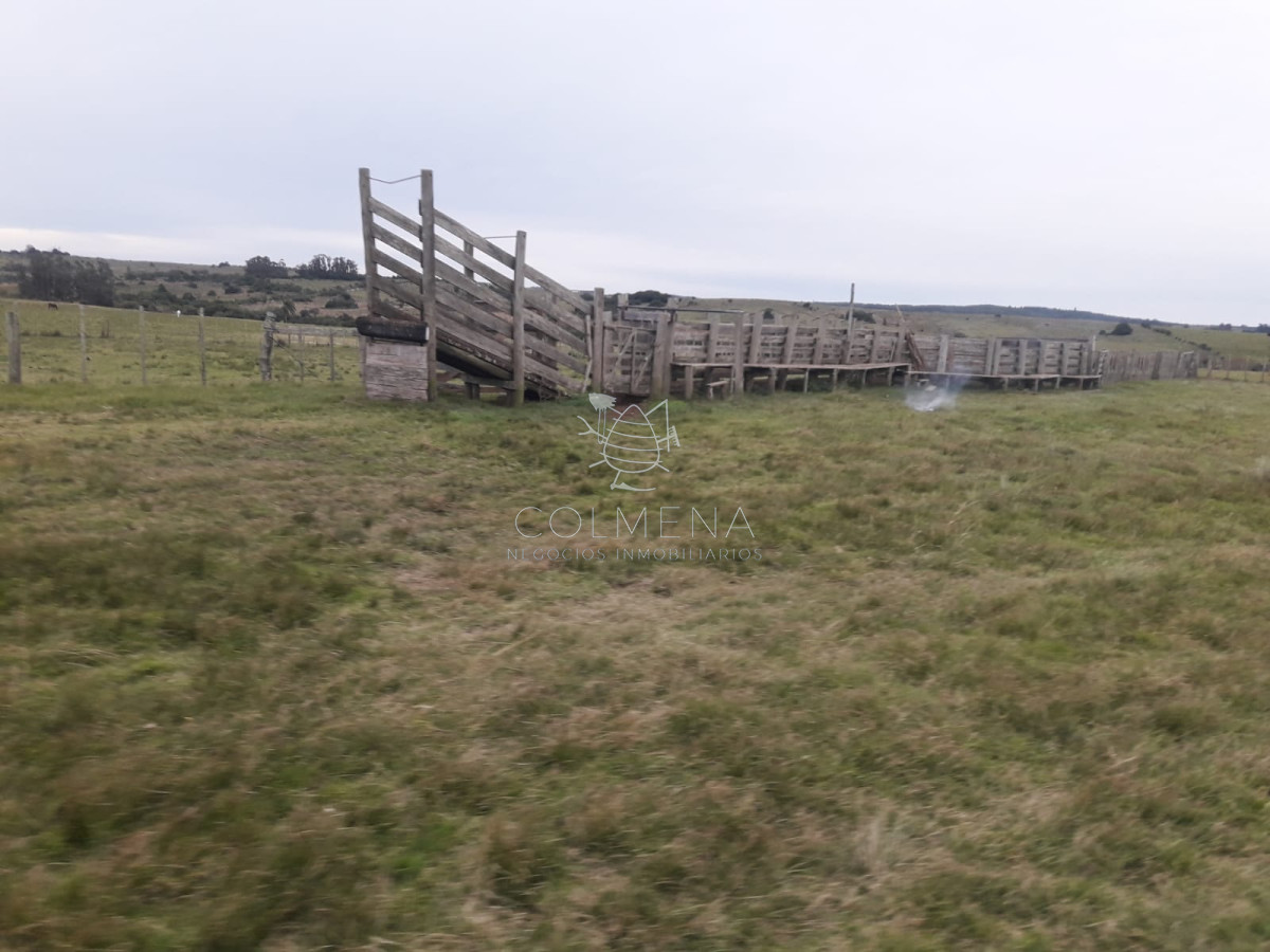 Campo a 5 km de pueblo Garzon   Coneat 106 - GoPunta - Portal Inmobiliario de Punta del Este - Maldonado