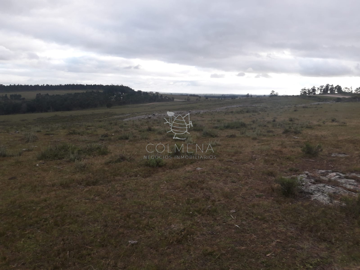 Campo de 47 has en Paraje los Caracoles   Consulte !!!!! - GoPunta - Portal Inmobiliario de Punta del Este - Maldonado