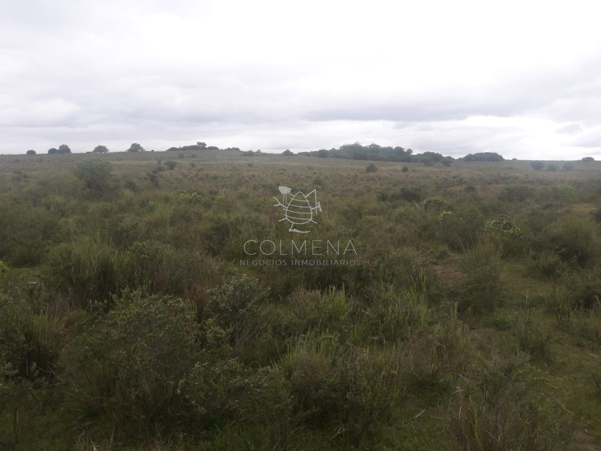 Campo en , - GoPunta - Portal Inmobiliario de Punta del Este - Maldonado