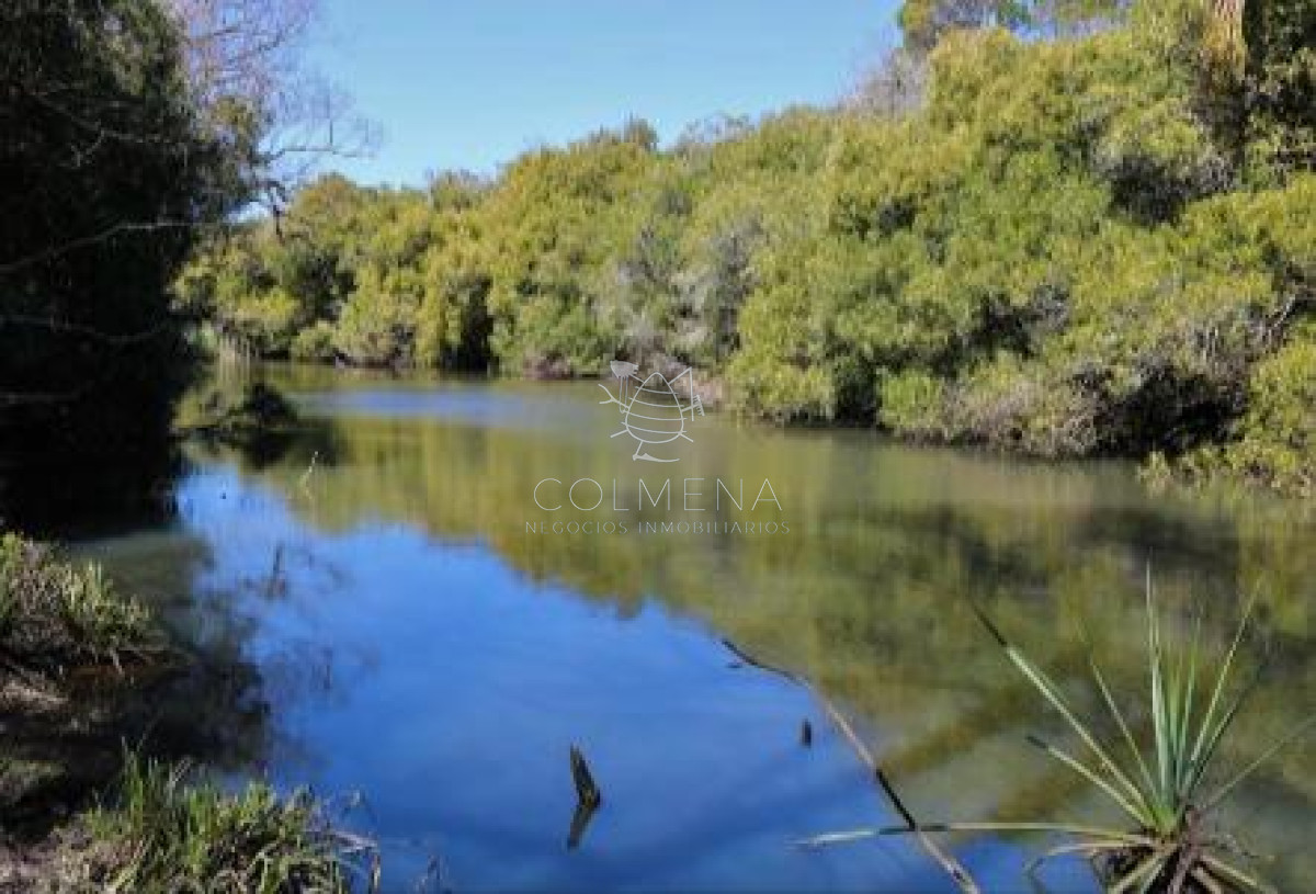 Campo en Pueblo Eden con buena casa y se trabaja ganado. - GoPunta - Portal Inmobiliario de Punta del Este - Maldonado