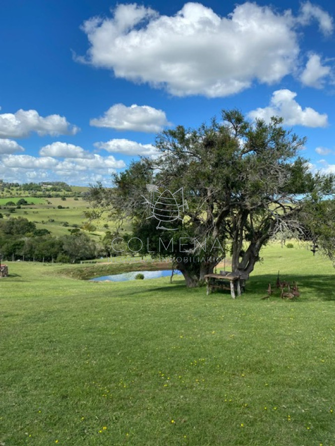 Campo 11 has en Paraje Pueblo Eden - GoPunta - Portal Inmobiliario de Punta del Este - Maldonado