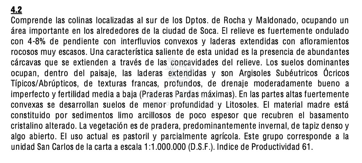 Campo en Corte la Leña la luz pasa por frente al campo y aljibe con agua permanente. - GoPunta - Portal Inmobiliario de Punta del Este - Maldonado