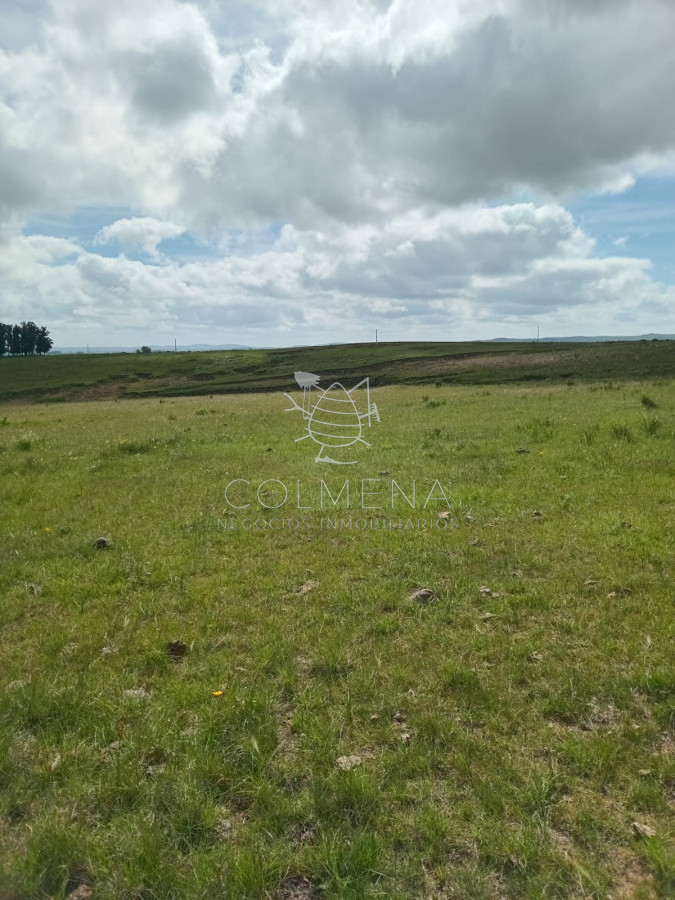 Campo en Corte la Leña la luz pasa por frente al campo y aljibe con agua permanente. - GoPunta - Portal Inmobiliario de Punta del Este - Maldonado