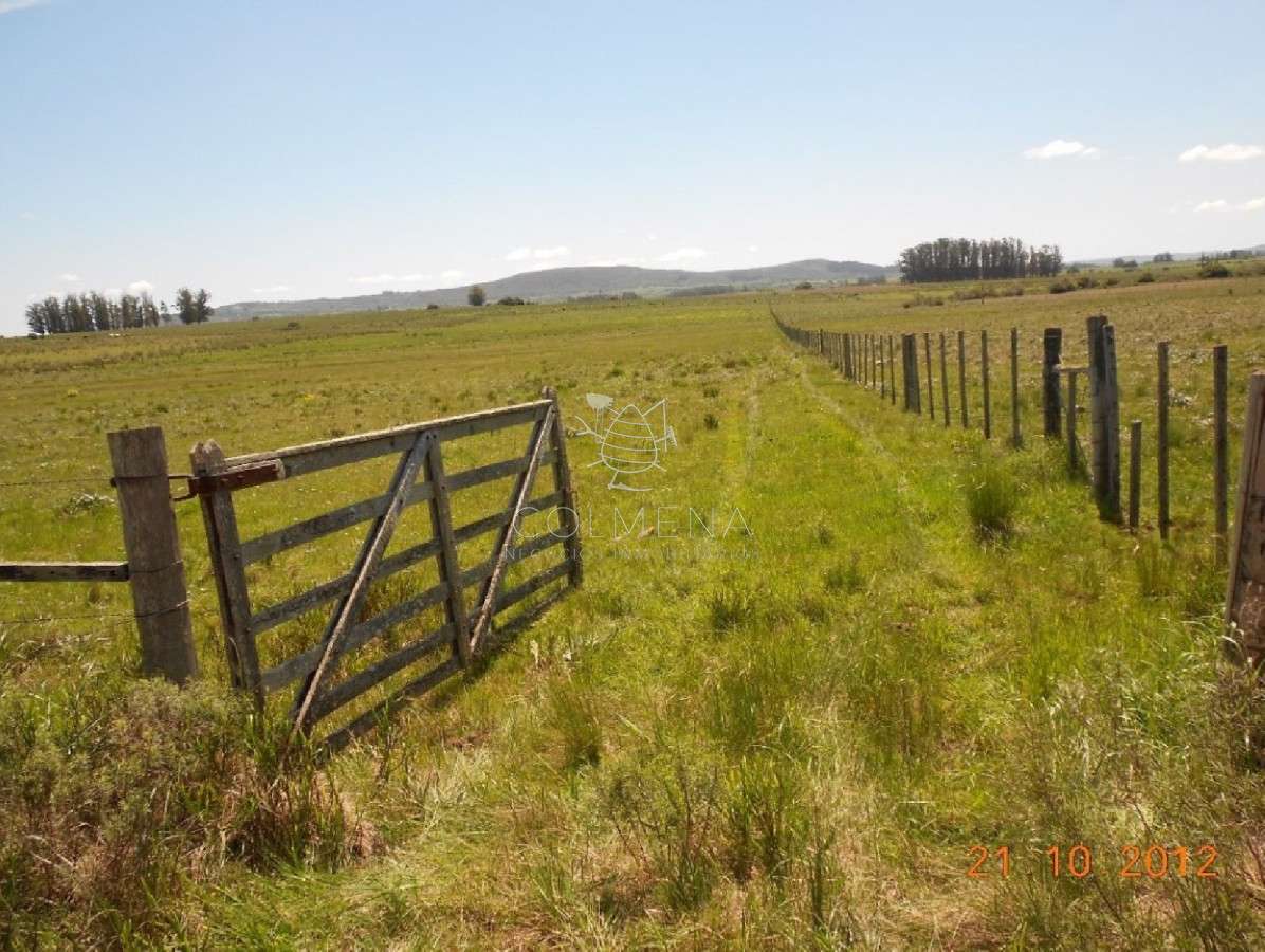 Campo de 5 has y media muy cerca de Pueblo Eden - GoPunta - Portal Inmobiliario de Punta del Este - Maldonado