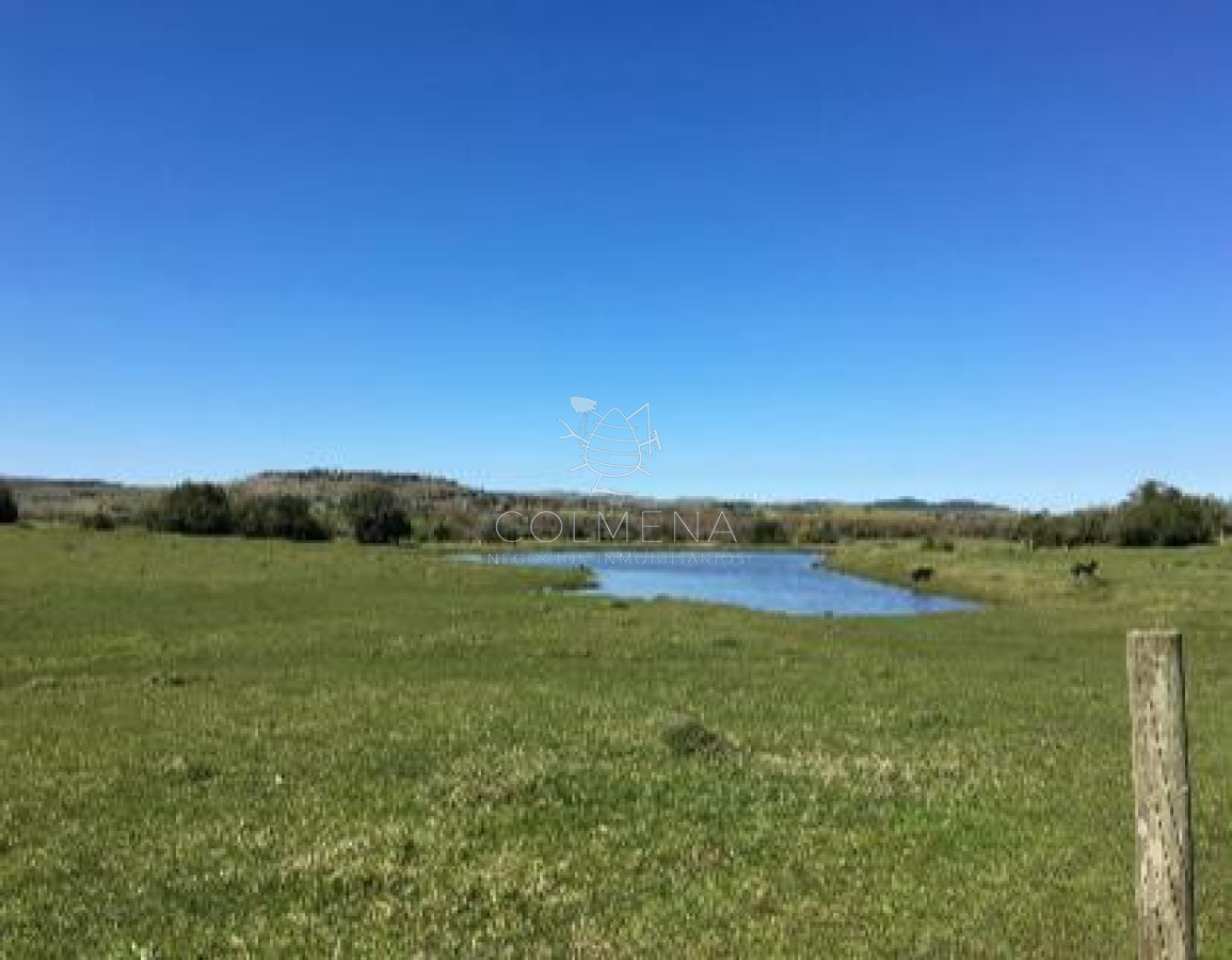 Campo 10 has cerca de Pueblo Edén - con casa importante.