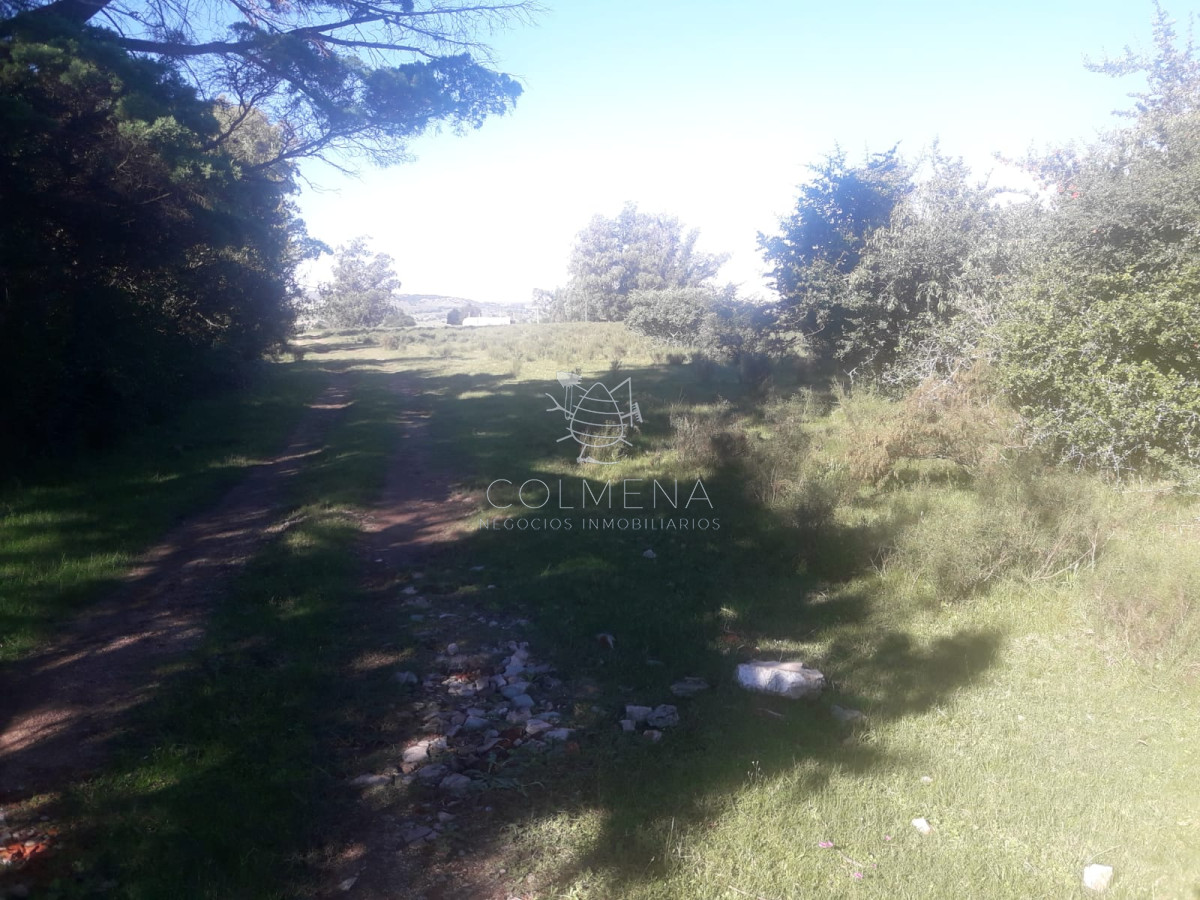 Campo cerca de Pueblo Eden   Consulte!!!!! - GoPunta - Portal Inmobiliario de Punta del Este - Maldonado