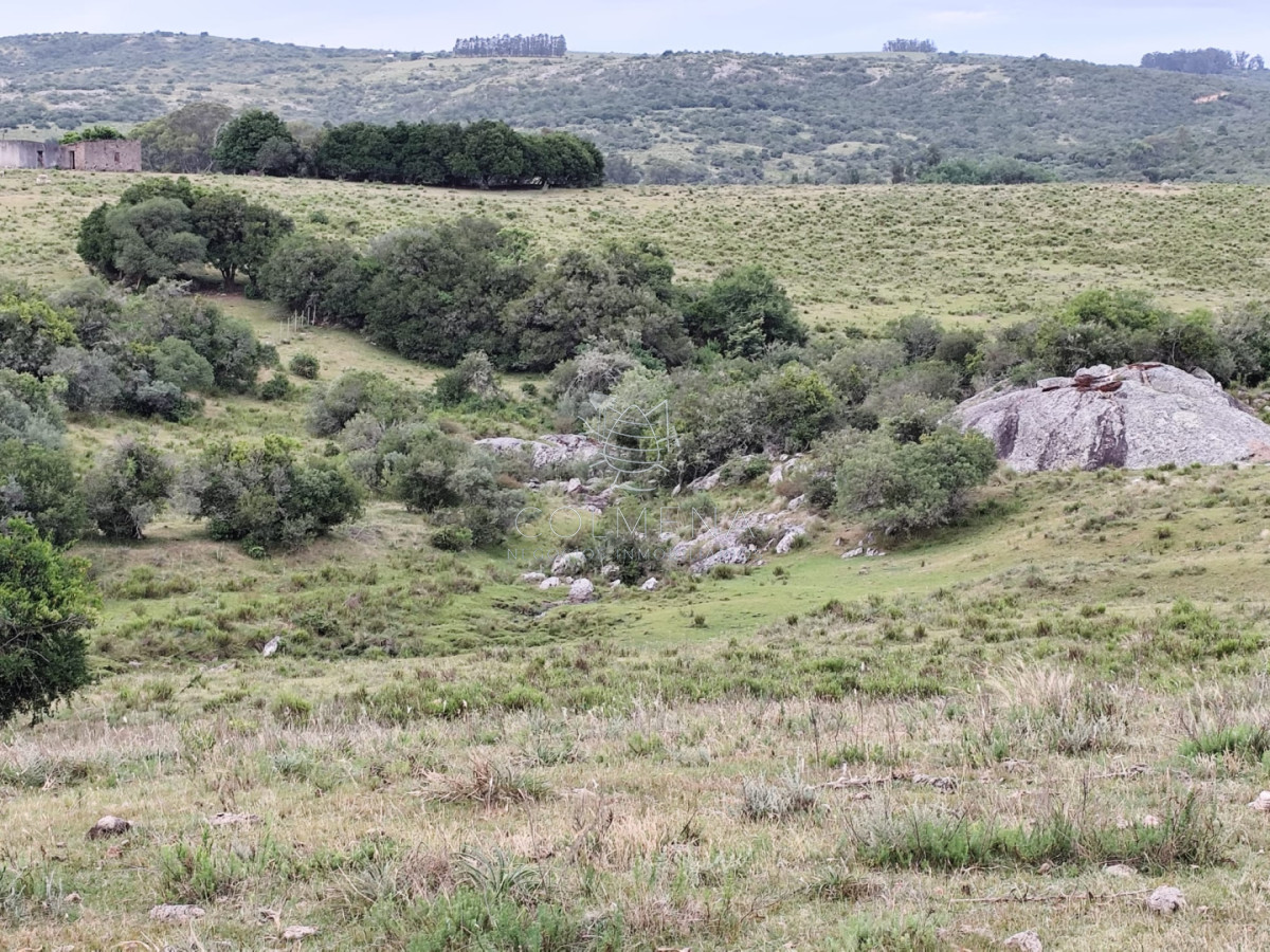 Campo de 22 has en paraje carape - COL10270P