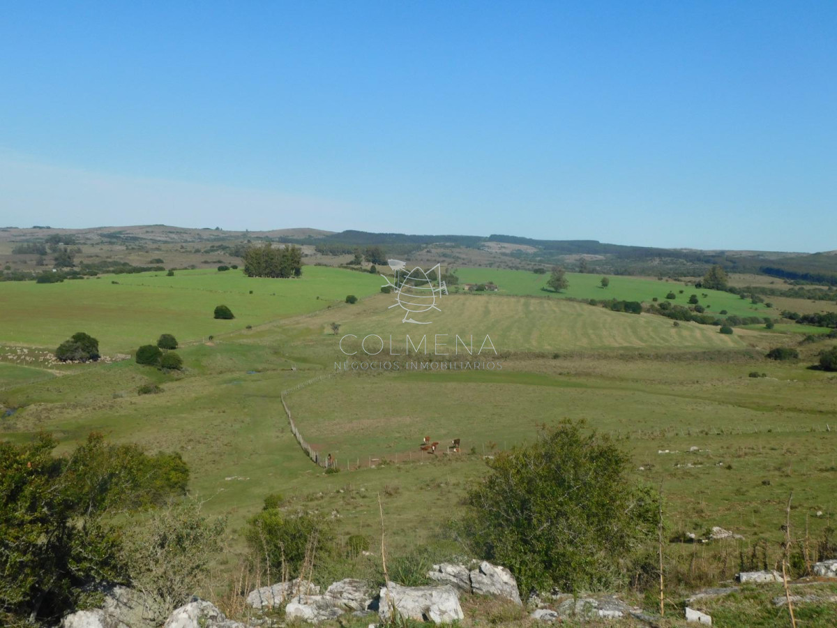 Campo 262 has Pueblo Edén