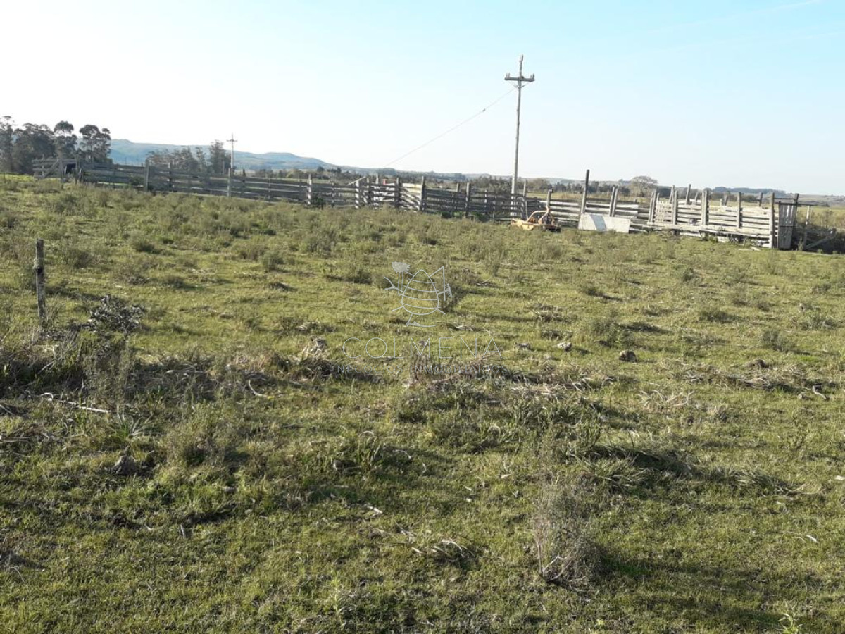 Campo de 66 has con 1991 m2   En Corte la Leña   Consulte!!! - GoPunta - Portal Inmobiliario de Punta del Este - Maldonado