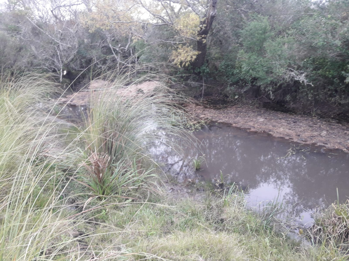Campo a 5 km de pueblo Garzon   Coneat 106 - GoPunta - Portal Inmobiliario de Punta del Este - Maldonado