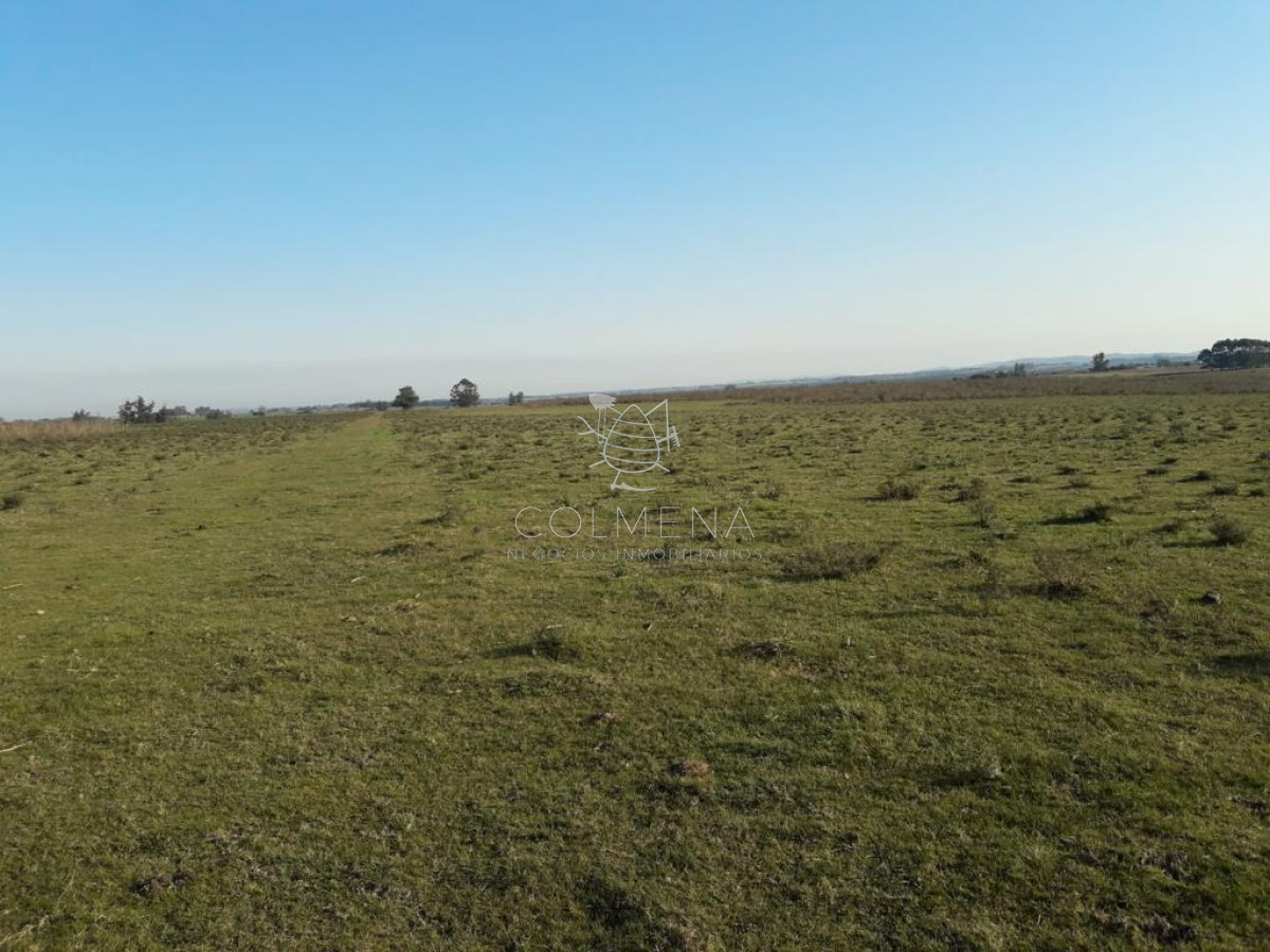Campo de 66 has con 1991 m2   En Corte la Leña   Consulte!!! - GoPunta - Portal Inmobiliario de Punta del Este - Maldonado