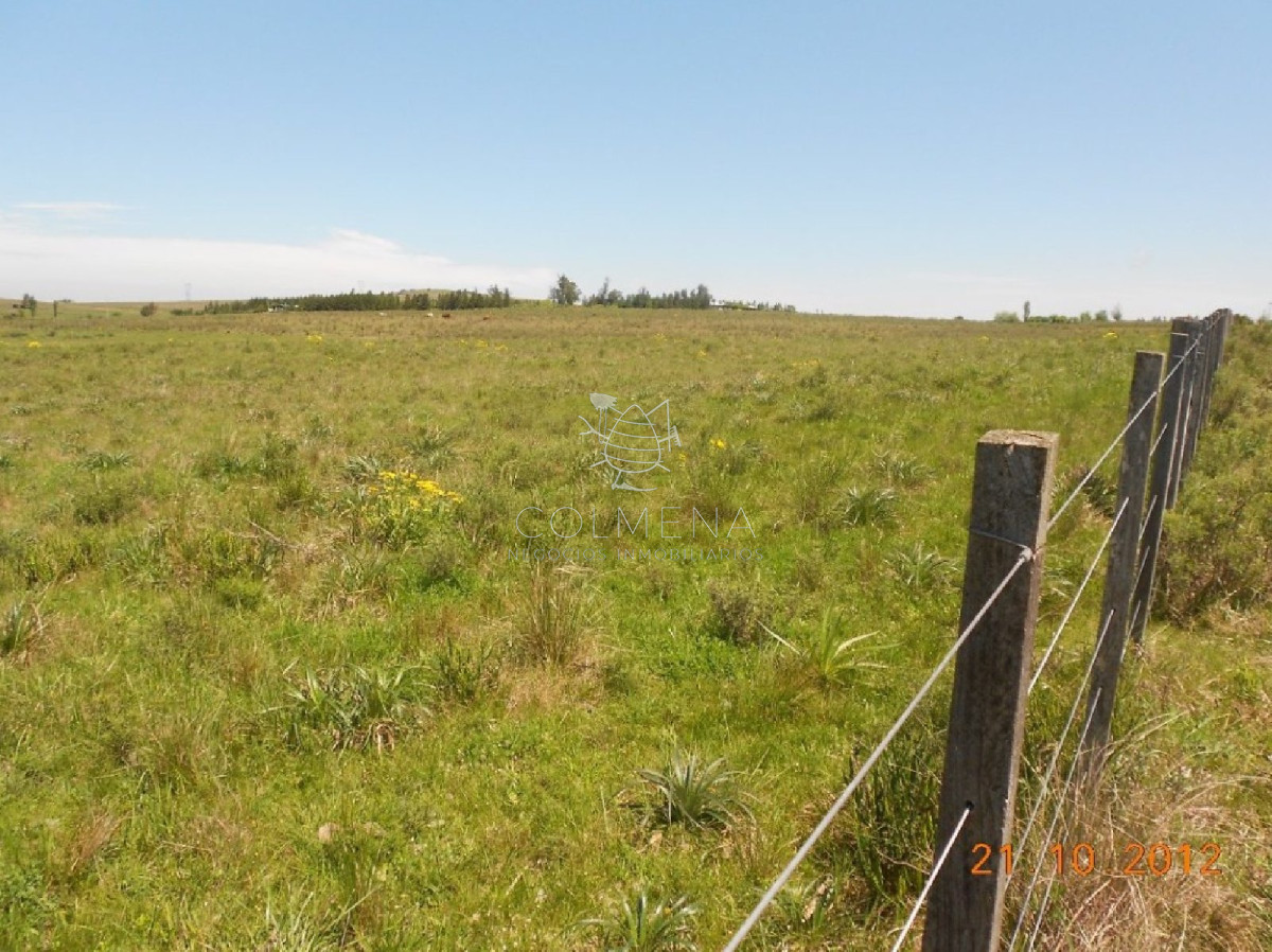 Campo de 5 has y media muy cerca de Pueblo Eden - GoPunta - Portal Inmobiliario de Punta del Este - Maldonado