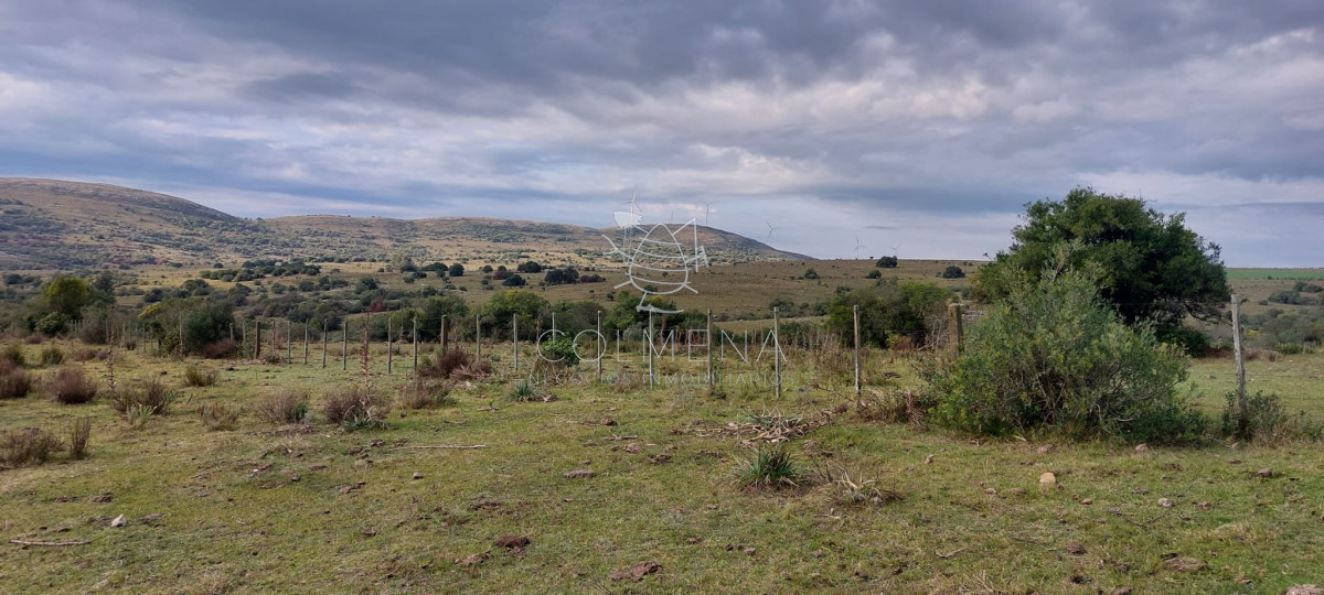 Campo en carape Son 42 hs 2293 m2
