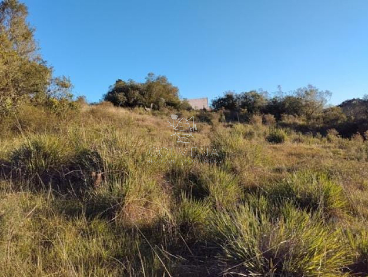 Campo 6 has con 2308 m2 en Paraje Carapé  - COL11482P