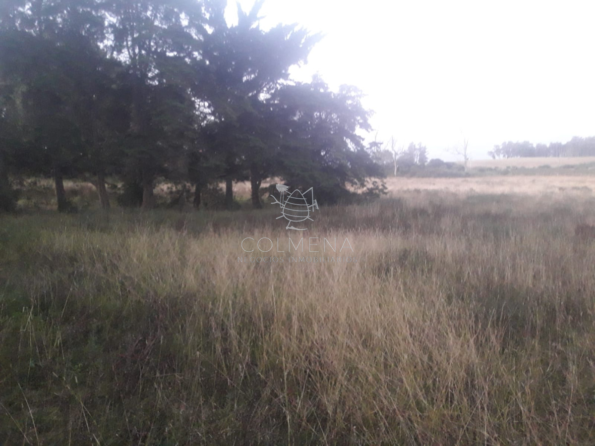 Campo 2 has con 8408 m2 a 7 km de ruta 9 y 17 km de punta ballena
