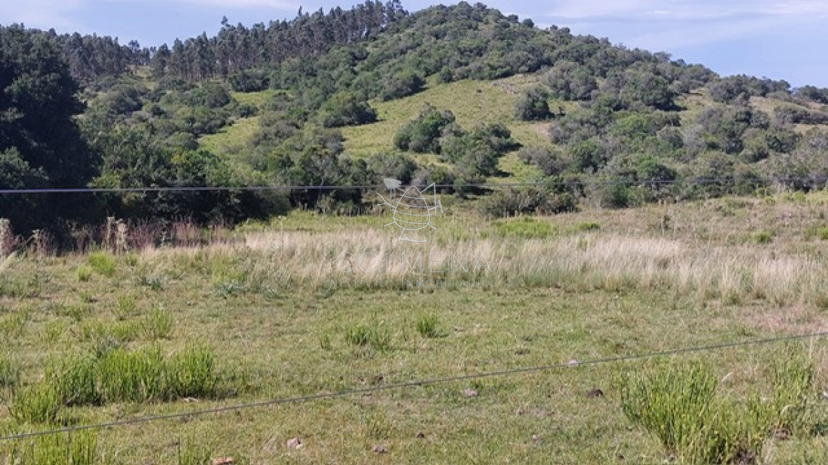 Campo en Aiguá, - GoPunta - Portal Inmobiliario de Punta del Este - Maldonado