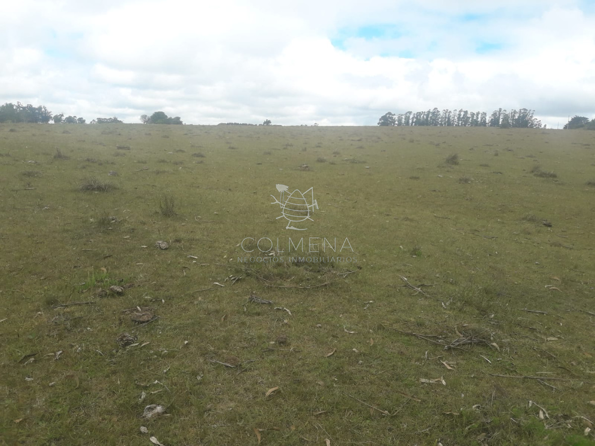 Campo de 12 has en Paraje José Ignacio. Consulte !!!!! - GoPunta - Portal Inmobiliario de Punta del Este - Maldonado