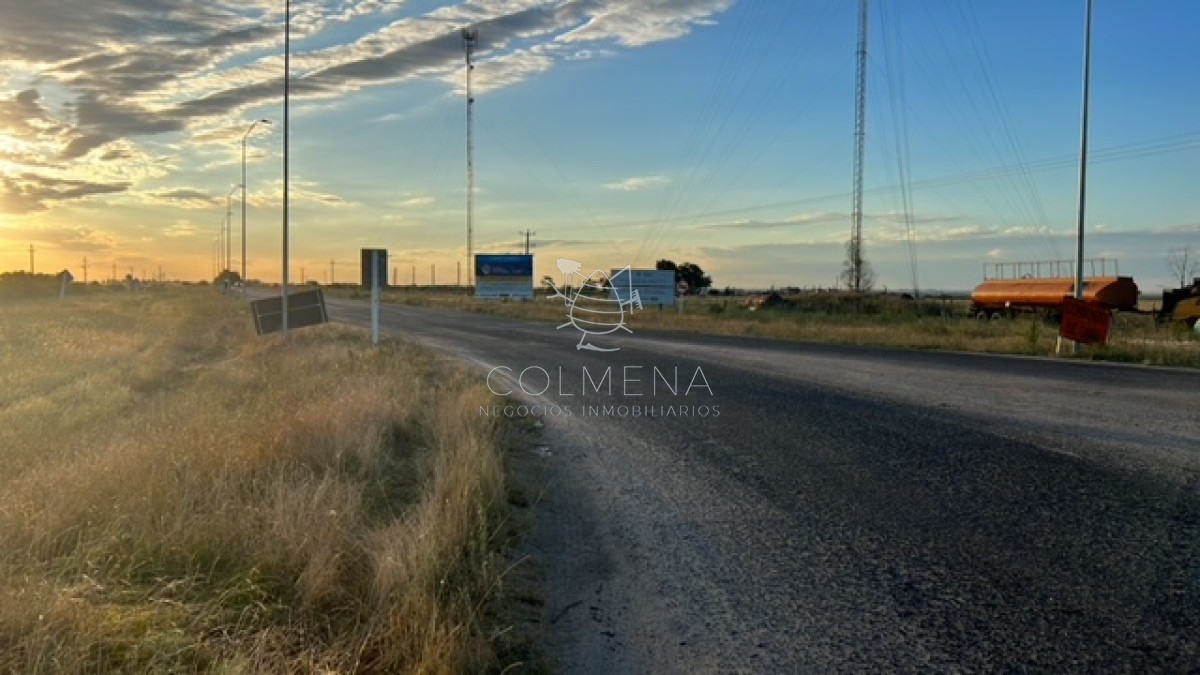Campo en Florida - GoPunta - Portal Inmobiliario de Punta del Este - Maldonado