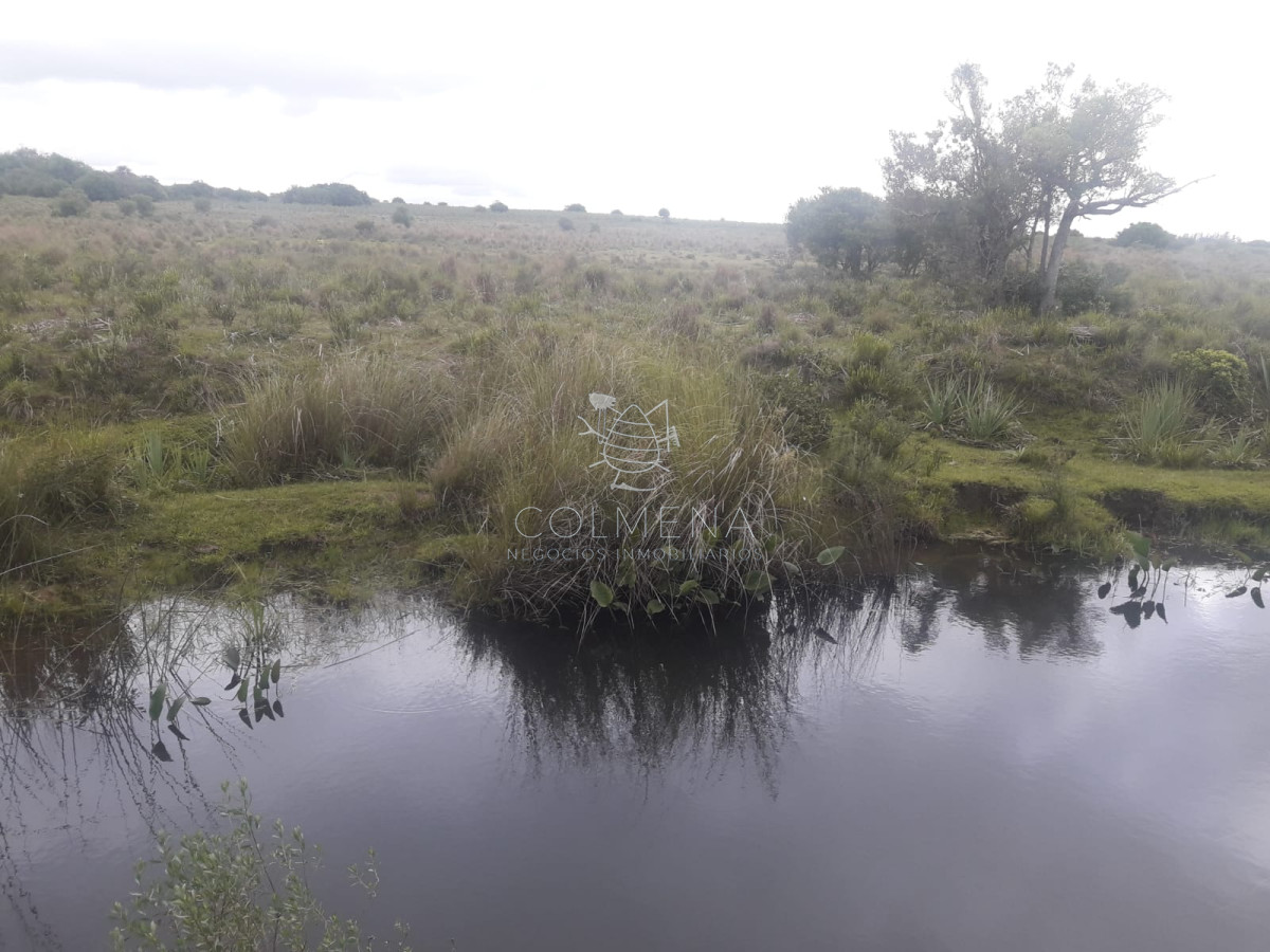 Campo en , - GoPunta - Portal Inmobiliario de Punta del Este - Maldonado