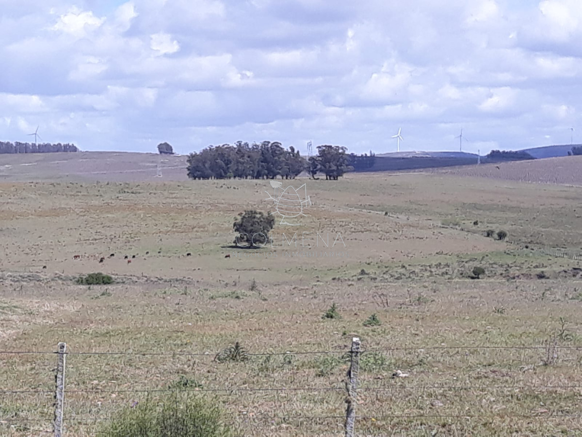 Campo 18 has en las Cañas   Consulte!!!!!! - GoPunta - Portal Inmobiliario de Punta del Este - Maldonado