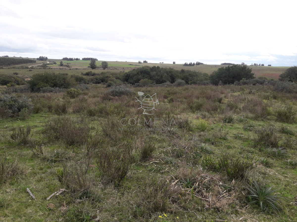 Campo de 21 has con 6010 m2 en paraje Jose Ignacio - GoPunta - Portal Inmobiliario de Punta del Este - Maldonado