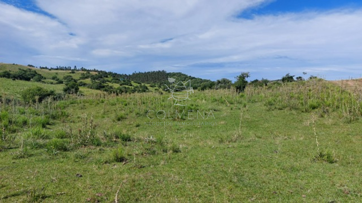 Campo en Aiguá, - GoPunta - Portal Inmobiliario de Punta del Este - Maldonado